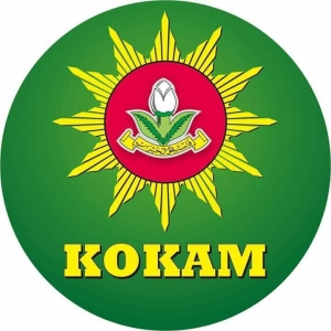 Logo Kokam ok