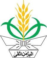 Logo Nasyiatul Aisyiyah
